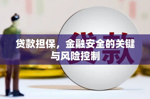 新洲贷款担保，金融安全的关键与风险控制