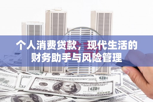 新洲个人消费贷款，现代生活的财务助手与风险管理