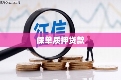 新洲保单质押贷款