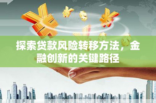 新洲探索贷款风险转移方法，金融创新的关键路径