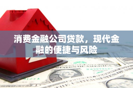 新洲消费金融公司贷款，现代金融的便捷与风险