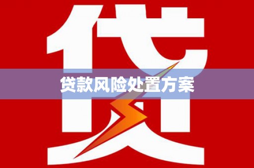 新洲贷款风险处置方案