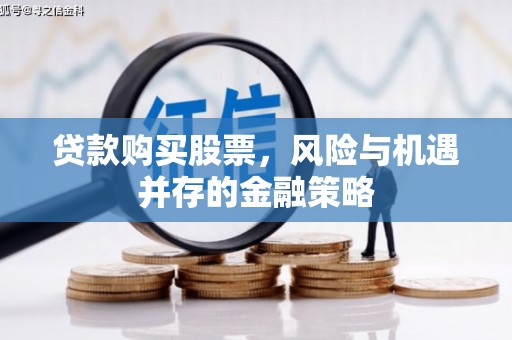 新洲贷款购买股票，风险与机遇并存的金融策略