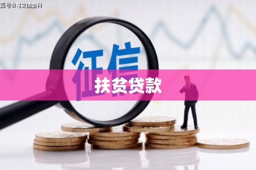 新洲扶贫贷款