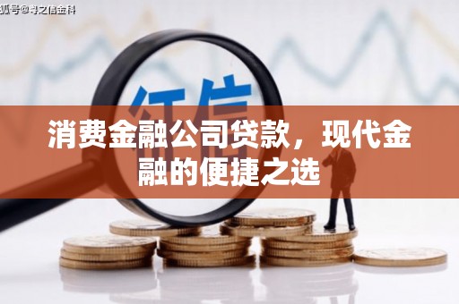 新洲消费金融公司贷款，现代金融的便捷之选