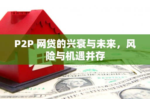 新洲P2P 网贷的兴衰与未来，风险与机遇并存