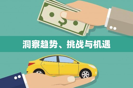新洲洞察趋势、挑战与机遇
