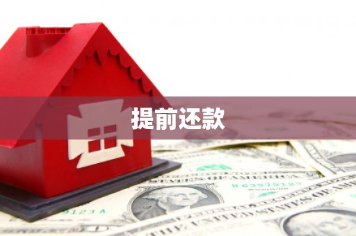 新洲提前还款