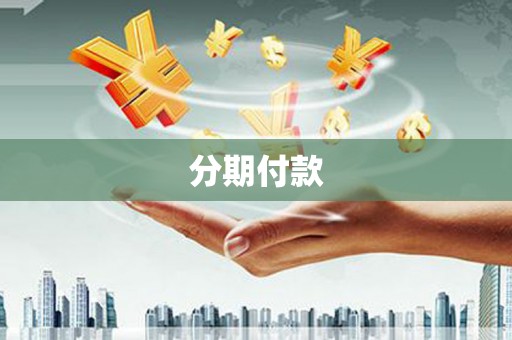 新洲分期付款
