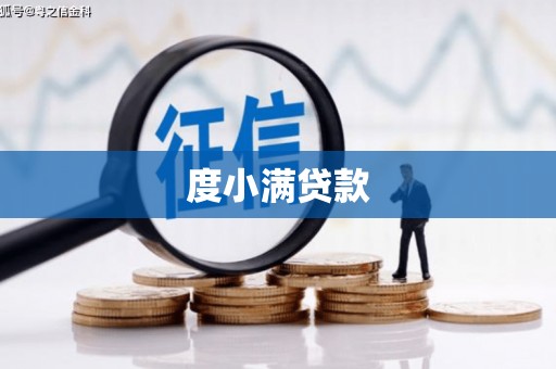 新洲度小满贷款
