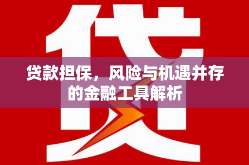 新洲贷款担保，风险与机遇并存的金融工具解析