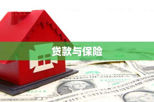 新洲贷款与保险