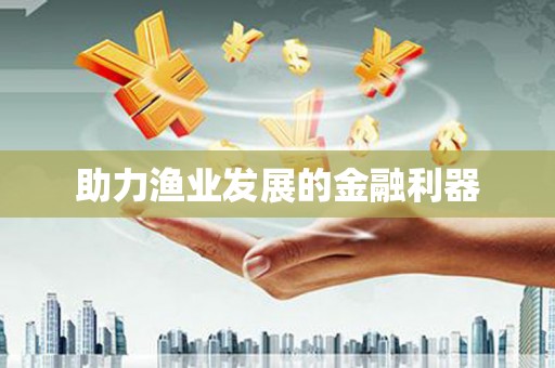 新洲助力渔业发展的金融利器