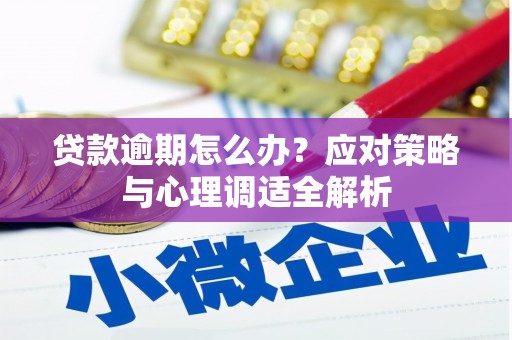 新洲贷款逾期怎么办？应对策略与心理调适全解析