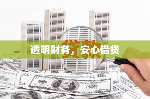 新洲透明财务，安心借贷