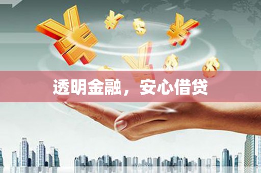 新洲透明金融，安心借贷
