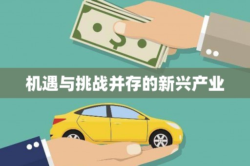 新洲机遇与挑战并存的新兴产业