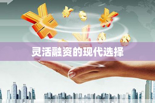 新洲灵活融资的现代选择