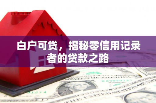 新洲白户可贷，揭秘零信用记录者的贷款之路