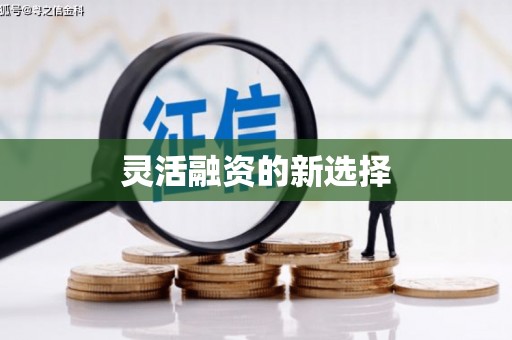 新洲灵活融资的新选择