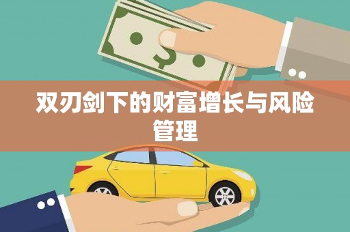新洲双刃剑下的财富增长与风险管理