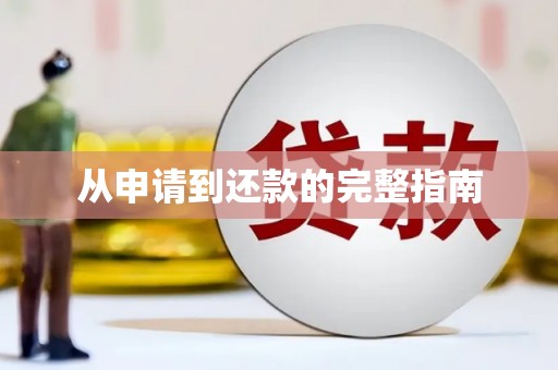 新洲从申请到还款的完整指南