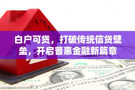 新洲白户可贷，打破传统信贷壁垒，开启普惠金融新篇章