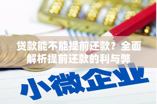 新洲贷款能不能提前还款？全面解析提前还款的利与弊