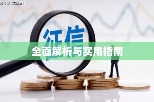 新洲全面解析与实用指南