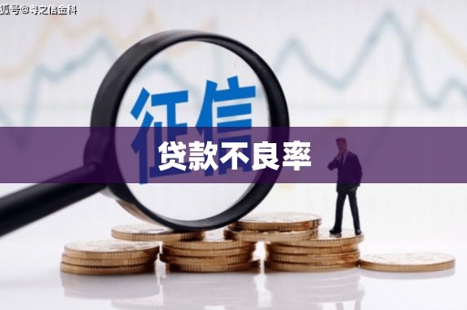 新洲贷款不良率
