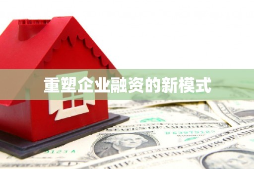 新洲重塑企业融资的新模式