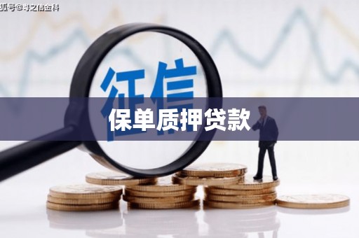 新洲保单质押贷款
