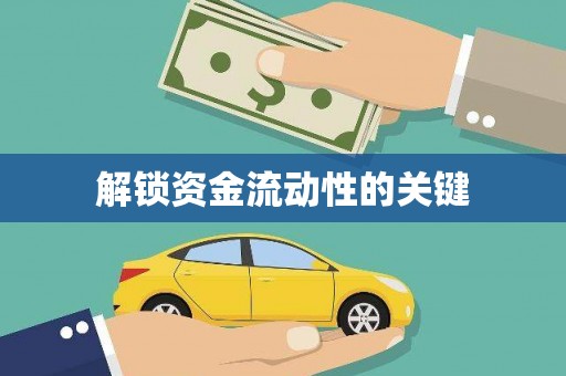 新洲解锁资金流动性的关键