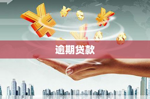 新洲逾期贷款