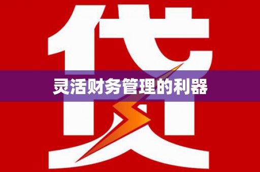 新洲灵活财务管理的利器