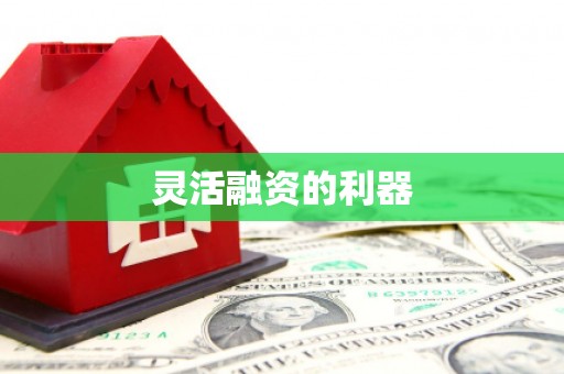 新洲灵活融资的利器