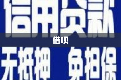 新洲借呗