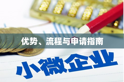 新洲优势、流程与申请指南