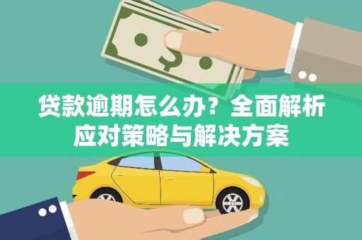 新洲贷款逾期怎么办？全面解析应对策略与解决方案