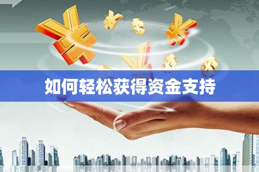 新洲如何轻松获得资金支持