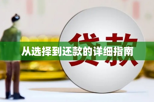 新洲从选择到还款的详细指南