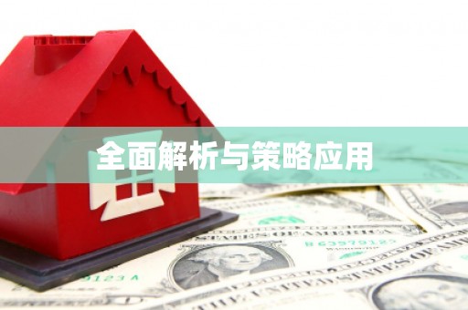 新洲全面解析与策略应用