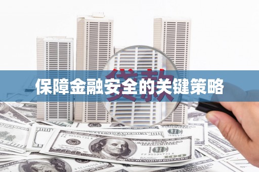 新洲保障金融安全的关键策略