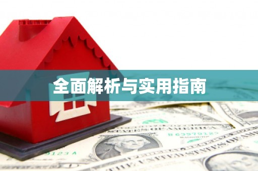 新洲全面解析与实用指南