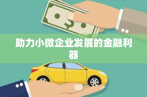新洲助力小微企业发展的金融利器