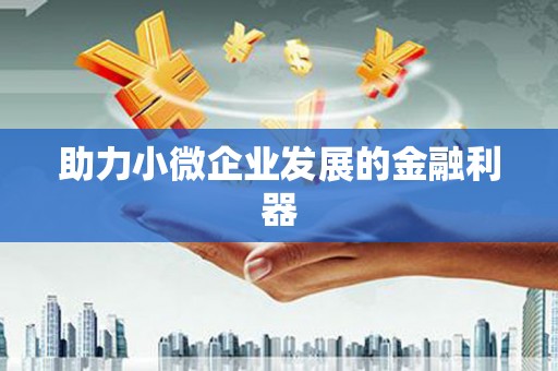 新洲助力小微企业发展的金融利器