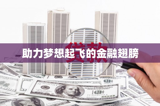 新洲助力梦想起飞的金融翅膀