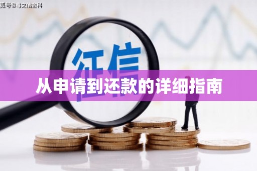 新洲从申请到还款的详细指南