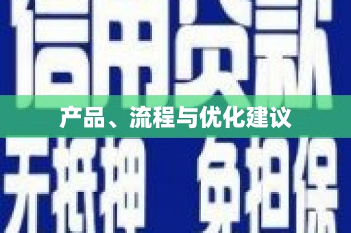 新洲产品、流程与优化建议