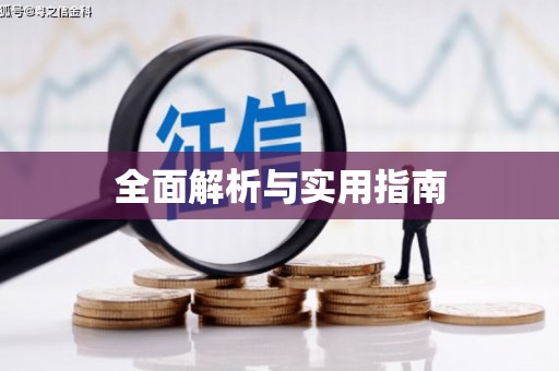 新洲全面解析与实用指南